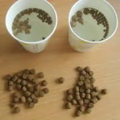 floating fish feed pellet