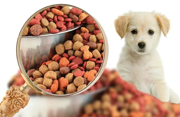 pet food processing equipment - dog food