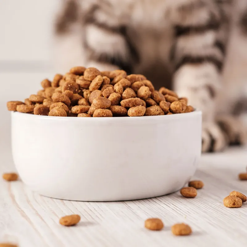 pet food processing equipment - pet food