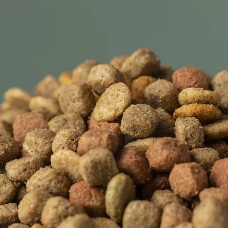 pet food processing equipment - pet food