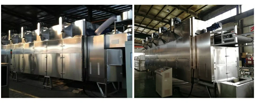 Food Grade Continuous Belt Dryer